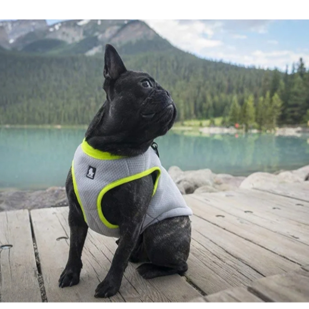 NWT Truelove Dog‎ Cooling Vest Harness Medium Gray Reflective Material